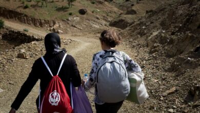 العدالة الرقمية… الحق في الوصول للمعلومة