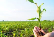 التنافسية المستدامة: حين تفضح الأرقام إفلاس النموذج التنموي