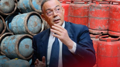 ليس خبرًا بل سؤالًا سياسيًا: لماذا يُتداول اسم فوزي لقجع لرئاسة الحكومة؟