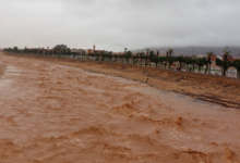 حين تُعلَّق الدراسة… ولا تُعلَّق الأسئلة