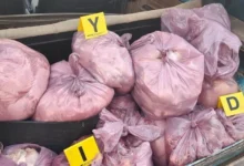 تسميم صامت باسم الغذاء: الدجاج الفاسد يكشف هشاشة الرقابة