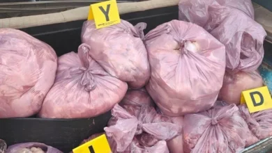 تسميم صامت باسم الغذاء: الدجاج الفاسد يكشف هشاشة الرقابة