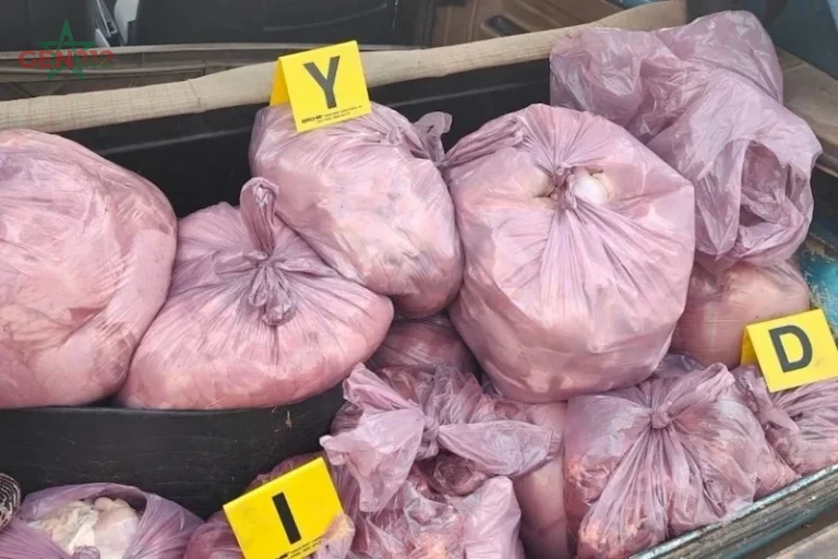 تسميم صامت باسم الغذاء: الدجاج الفاسد يكشف هشاشة الرقابة