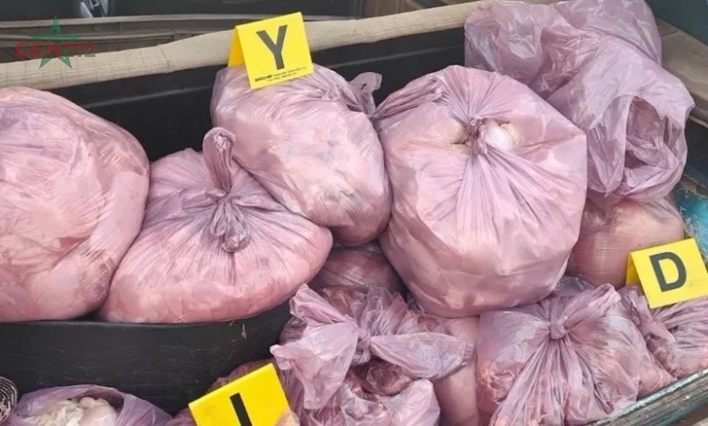 تسميم صامت باسم الغذاء: الدجاج الفاسد يكشف هشاشة الرقابة