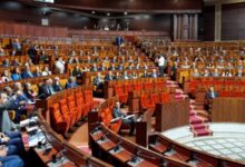 “داك العود من ديك الشجرة”.. حين تتحول الانتخابات إلى “ميراث سياسي”