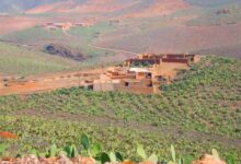 آيت باعمران بين الرعي الجائر والفراغ القانوني… من يحمي الأرض والإنسان؟