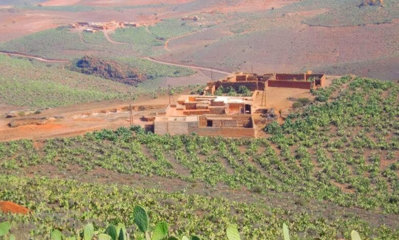 آيت باعمران بين الرعي الجائر والفراغ القانوني… من يحمي الأرض والإنسان؟