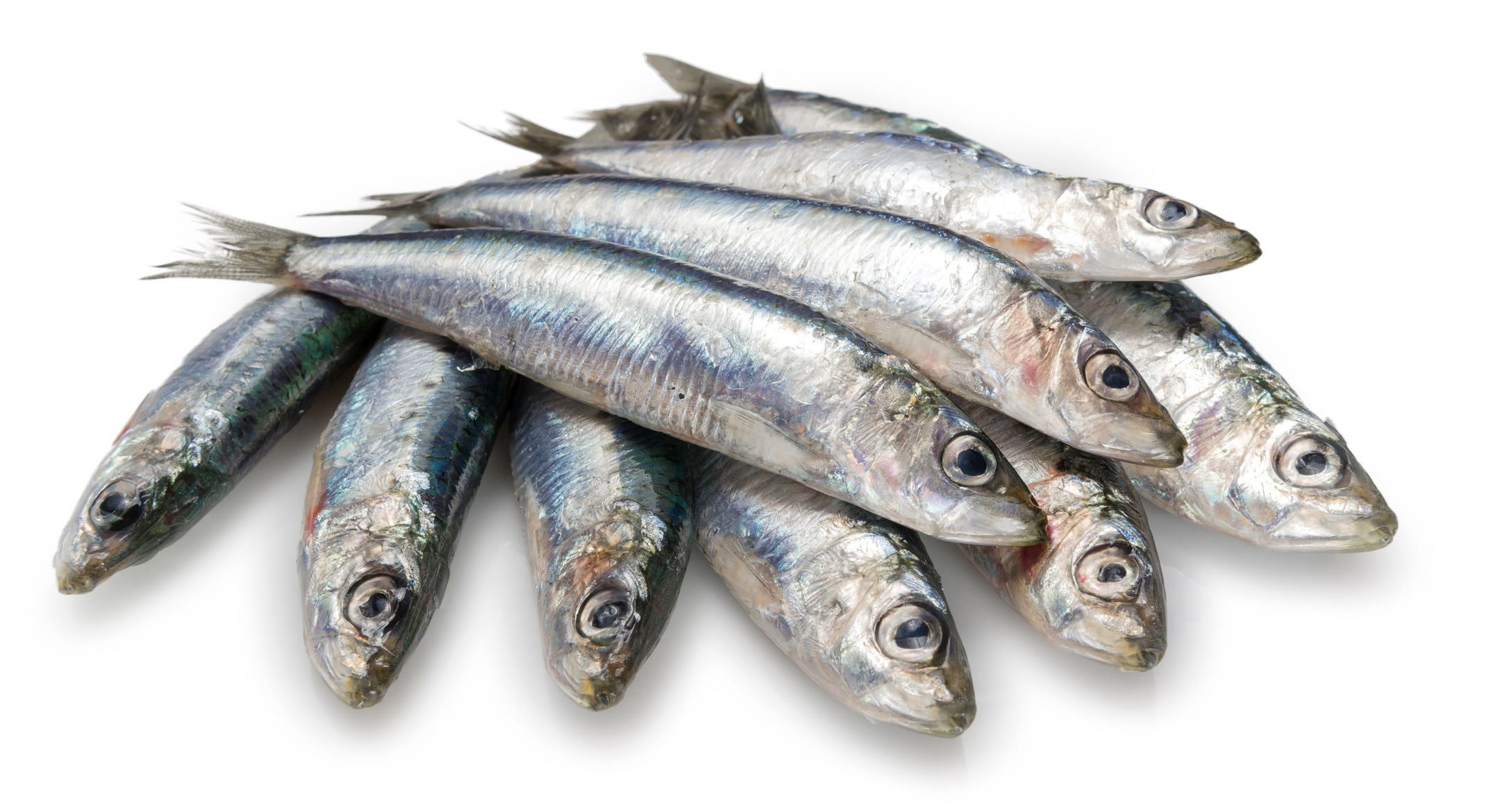 السردين اللي كان “عشانا” ولى “حلمنا”.. خيرنا كياكلو غيرنا!