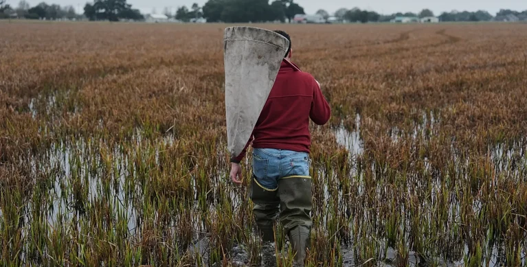 اضطرابات الحرب تدفع آسيا الوسطى إلى إعادة التفكير في الزراعة والأمن الغذائي