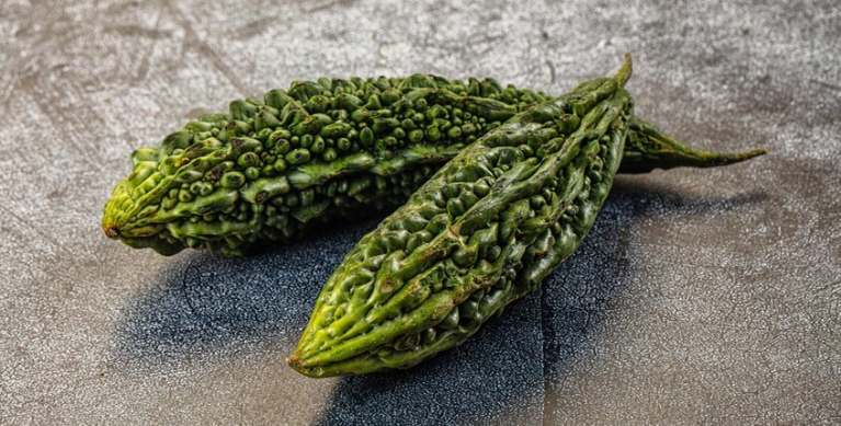 القرع المر بين الطب الشعبي والعلم: هل يفتح باباً جديداً لمواجهة السكري والسرطان؟