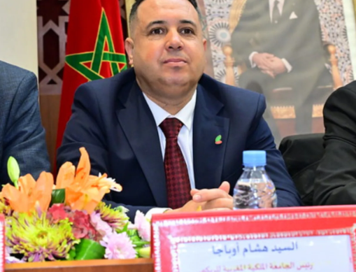 المغرب يعزز حضوره القاري في أشغال الدورة الـ17 للاتحاد الإفريقي للركبي