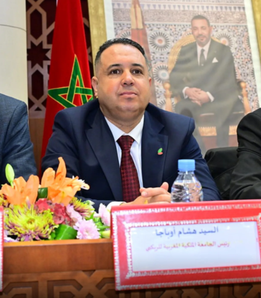 المغرب يعزز حضوره القاري في أشغال الدورة الـ17 للاتحاد الإفريقي للركبي