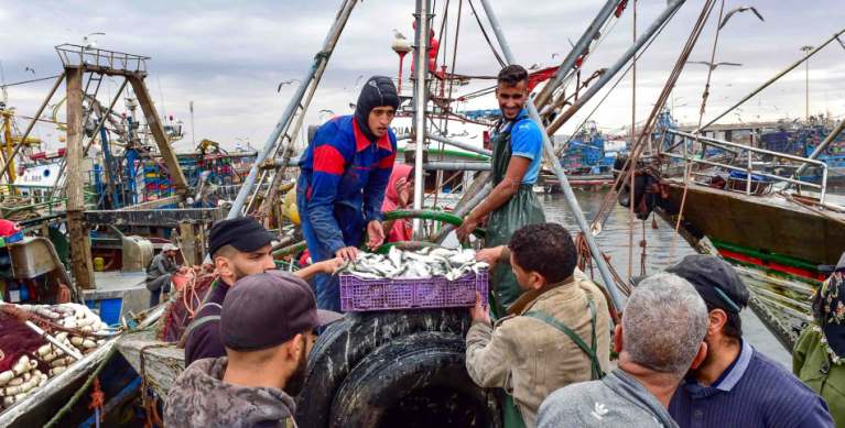 تراجع مفرغات الصيد في السواحل المتوسطية للمغرب… مؤشرات مقلقة تضع القطاع أمام أسئلة الاستدامة والجدوى الاقتصادية
