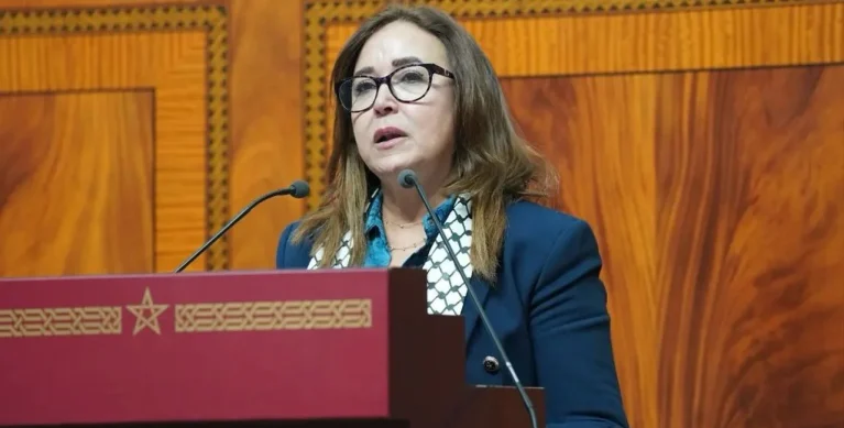 التامني: دعم النقل يغذي الريع.. والحل في إحياء “سامير” ومراجعة تحرير أسعار المحروقات